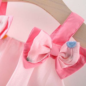 Summer New Girl Bow and Bubble Sleages Dulce Princess Vestido con bordado de flores (niña de 0-3 años)