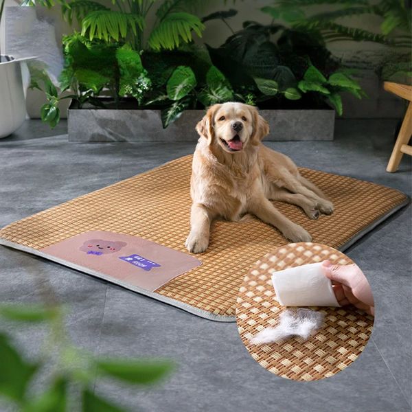 PAD SUMBRE MAT ROTAN TEAVEMENT CHIGE BESOINT CHACHING CAT CAT UNE SORGE COUP CUCHION PET ANTIBITE PEUSE NEST RÉSILSION 240418