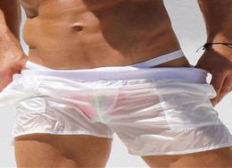 Été Sexy maillots de bain hommes maillot de bain maillot de bain Transparent sunga hommes slip de bain Shorts de plage mayo sungas de praia homens538325694048