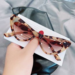 Nouvelle couleur bonbon oeil de chat petit cadre lunettes de soleil originales personnalité mode piste Style marque rétro nuances UV400 unisexe