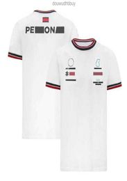 Tshirts d'été Mercedes F1 Team Mens Lewis Hamilton T-shirts Tee Black Petronas Formula One Polo Pit Grand Prix Motorcycle Fast DR9398853