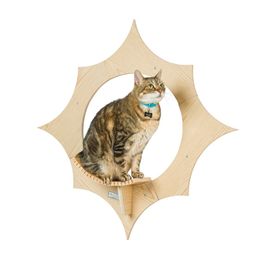 Zonvormige kattenwandplanken, modern aan de muur gemonteerd klimkattenmeubilair