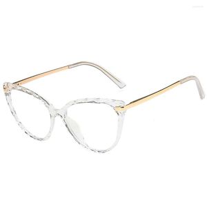 Lunettes de soleil 1 paire de lunettes pour femmes triangulaires universelles HD élégantes à la mode