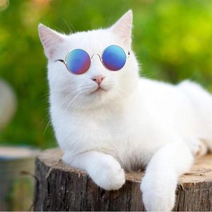 Lunettes de soleil 10 pièces/lot, lunettes de soleil pour chat, chiot, Protection UV, poupées, petits chiens, accessoires Photo Cosplay, produits pour animaux de compagnie