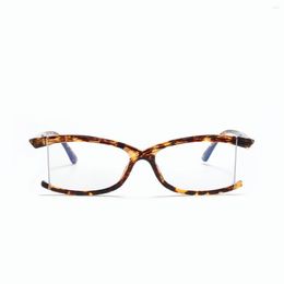 Gafas de sol 2023 Anti-UV UV400, gafas con bloqueo de luz azul para hombres y mujeres, gafas sexis con montura de leopardo para ordenador NX