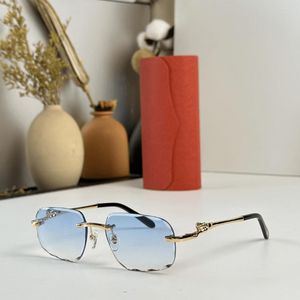 Sonnenbrille 2023 Frauen UV400 Coole Männer Persönlichkeit Mode Talent Star Blog Outdoor Fahren Luxusbrille