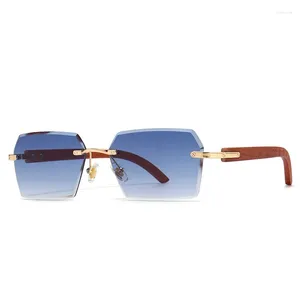 Zonnebril 2024 Modeontwerper Trend Luxe Vrouw Een Stuk Vintage Cat's Eye Loopbril Eyewear 2A336