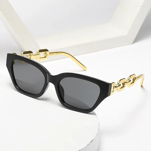 Lunettes de soleil 2024 Fashion Small Frame Cat Personnalité Rétro Chaîne épaisse Miroir Miroir Design Sunshade Street Shooting Femme