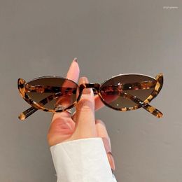 Gafas de sol 2024 Retro Half Frame Small Women Cat Eye Gafas Sun Sun Eyewear Modern Eyewear Fashion Diseñador de marcas de lujo Sombras