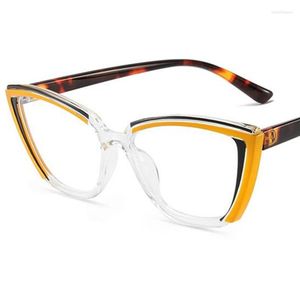 Gafas de sol Anti-Blue Light Gafas Moda Unisex Gafas Cat Eye Gafas Patchwork Marco Gafas Retro Personalidad Ornamental