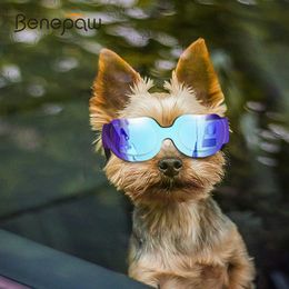 Gafas de sol Benepaw Fashion Gafas de sol de perros pequeños antidustes a prueba de viento con una banda ajustable para gafas de cachorros de protección UV