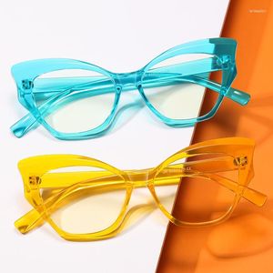 Lunettes de soleil papillon cadre Anti-lumière bleue lunettes femmes Transparent plat surdimensionné Anti bleu lunettes en gros