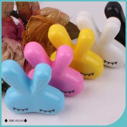 Zonnebrillen Cases Lymouko Nieuw ontwerp Multicolor Cute Love Rabbit Holder Contact Lens Case met spiegellenzenvak voor cadeau Y240416