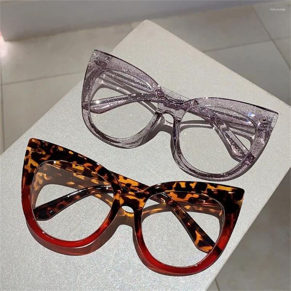 Lunettes de soleil Cat Eye Lunes de grandes lune