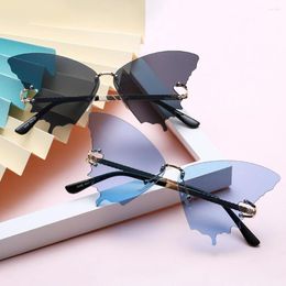 Gafas de sol Regalos de moda geniales Resistente al sol A prueba de viento Resistente a los rayos UV Damas