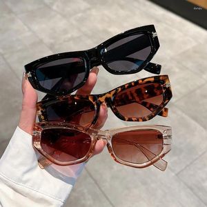Zonnebrillen schattige cateye mode voor vrouwen en mannen stijlvol glamour merk vrouwelijke zonnebrillen trend cat oog tinten uv400