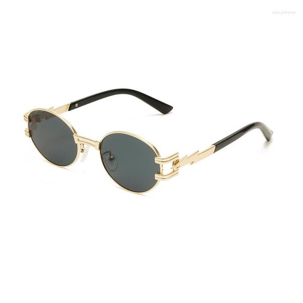 Lunettes de soleil mignonnes élégantes ovales pour hommes et femmes Lunettes de mode de forme Thunderbolt