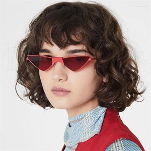 Gafas de sol Cyber ​​Lunes 2023 Anime de moda Franky Cosplay Props para mujeres Men Black Cat Eye Funny Party Eyewear