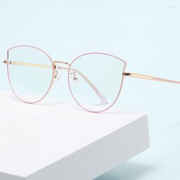 Солнцезащитные очки, модные плоские очки «кошачий глаз», анти-синие, женские, в простой тонкой оправе, прозрачные, анти-синие, компьютерные очки