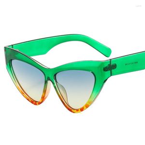 Gafas de sol Moda Cat Eye Gradient Shades UV400 Vintage Diseñador de la marca Verde Púrpura Gafas Hombres Tendencia Gafas de sol