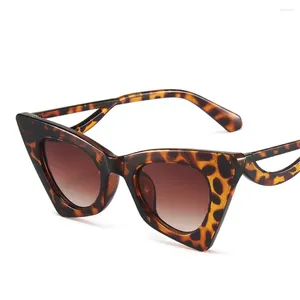 Lunettes de soleil mode coloré œil de chat femmes rétro jambes uniques lunettes nuances UV400 hommes tendance dégradé lunettes de soleil 2024