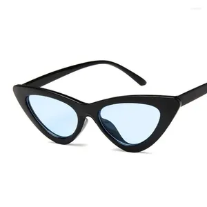 Lunettes de soleil mode mignon sexy dames oeil de chat femme vintage marque petit miroir lunettes de soleil femme Uv400