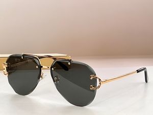 Zonnebrillen voor mannen en vrouwen ontwerpers 0439S Stijl Anti-ultraviolet retro bril bril Random Box 0439