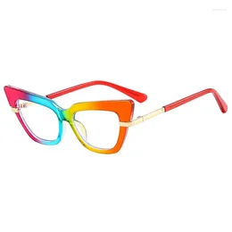 Lunettes de soleil Frames 2024 Fashion Femelle Antiblue Light Cat Cat Oeil Filed Vintage For Women Men Computer Clear E Eapres