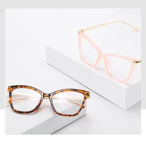 Zonnebrilmonturen Cat Eye Bril Clear Frame Damesmode Transparante Brillen Vrouwelijk spektakel
