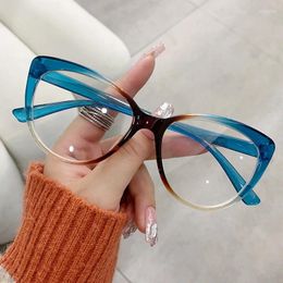 Gafas de sol Marcos Cat Eye Wear Blue Light Blocking Glasses Espectáculo Anteojos Moda Lectura Mujeres