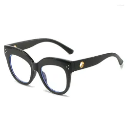 Zonnebrillen frames mode dames bril frame mannen oversized zwarte brillen vintage ronde ronde lens optisch spektakel