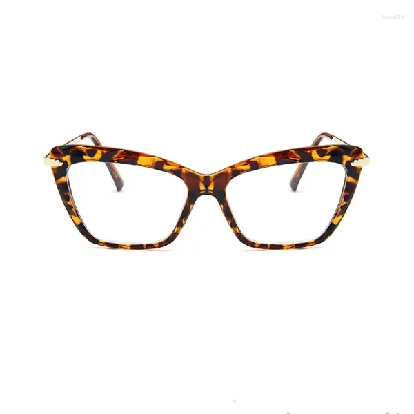 Les lunettes de soleil encadrent en plastique Plectacle Spectacle Spectacle Men's Retro Fashionable Myopia Eyeglass de personnalité des femmes