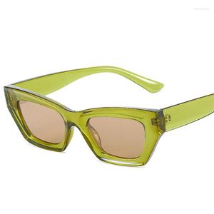 Gafas de sol Ins Fashion Cat Eye Mujeres Jelly Color Shades UV400 Trending Men Vintage Naranja Verde Gafas de sol
