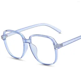 Lunettes de soleil L les verres légers anti-bleus Cadre brun foncé givré avec des coussinets de nez moelleux Décoration tendance pour l'unisexe