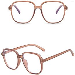 Lunettes de soleil grand cadre Anti-lumière bleue lunettes visage Ultra léger mince décoratif pour travail bureau affaires FS99