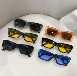 Zonnebrillen lumias 2023 mode kat oogtinten voor dames Koreaanse stijl zomer vintage trendy outdoor strand proteCe -broedersheidsunglas2808958