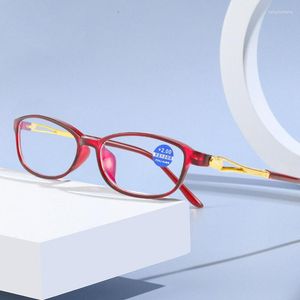 Zonnebril Leesbril Vrouwen Vintage Anti Blauw Licht Computer Hd Mannen Hoge Kwaliteit Verziendheid Brillen 1.0 1.5 2.0 2.5 tot 4.0