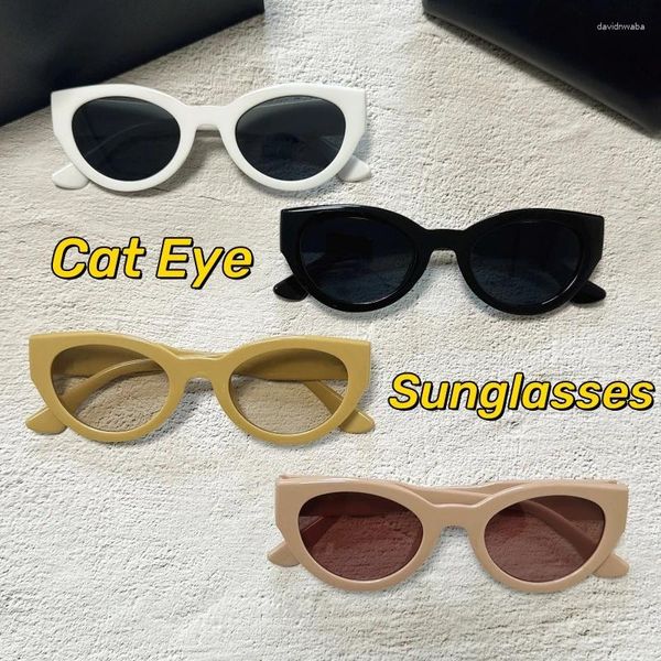 Gafas de sol Retro Marco pequeño Ojo de gato Mujer Coreano Moda Vacaciones Viento Rosa Unisex Protección UV Gafas