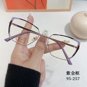 Zonnebrillen retro trendy metalen frame anti -blauw lichtglazen voor vrouwen en mannen ultra optische oogbescherming goggle platte lens