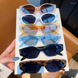 Lunettes de soleil SHENMEIYU mode irrégulière œil de chat femmes Vintage ovale bleu thé lunettes hommes nuances UV400 lunettes de soleil concepteur