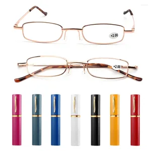 Lunettes de soleil Petites verres de lecture compacts avec tube de stylo Case 1,00 à 4,00 Prényopic Portable Spring Hinge Metal Eyeglass