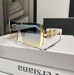 Zonnebrillen Zonnebrillen voor dames en heren Klassieke zonnebrillen met groot frame voor dames Trendy buitenbrillen Tinten UV400 Zonnebrillen UV-bescherming8416