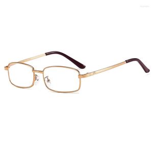 Lunettes de soleil unisexes, verres en résine métallique, lunettes de lecture pour hommes et femmes, monture carrée, presbytes, anti-rayures, dioptrie 0 à 4.0