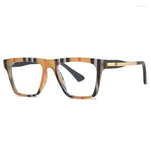 Zonnebrillen dames gestreepte luipaardprint frame glazen luxe krassen asferische harslens zon