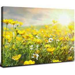 Prairie ensoleillée avec fleurs jaunes en toile florale Impression