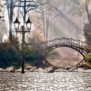 Sonnenschein durch Bäume Hochzeit schandes landschaftlich Fotografie Hintergrund Vintage Lamp Bridge River Stone Road Studio Photo Booth Hintergründe Retro -Stil