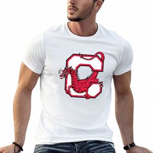 Suny Cortland T-Shirt Vêtements esthétiques Vêtements mignons Hommes T-shirts unis o8SI #