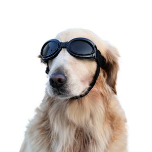 Gafas para perros súper frescas gafas de sol protectores de mascota gafas de joyas de vidrio elástica de perros accesorios