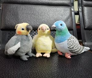 Super Mini calopsitte jouets en peluche doux vraie vie perroquet animaux en peluche jouet Reastic oiseaux poupées en peluche cadeaux pour les enfants Y2007233534260