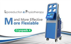 Professionele Cryolipolysis Freezing Machine Combineer Shock Wave Physiotherapy-apparaat met 4 Behandeling Cryo Pads Heads en 12 tips